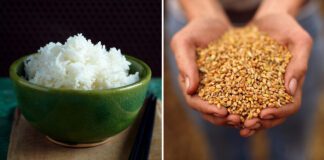 Wheat Vs. Rice - Which is Better?