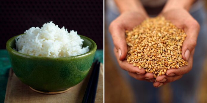 Wheat Vs. Rice - Which is Better?