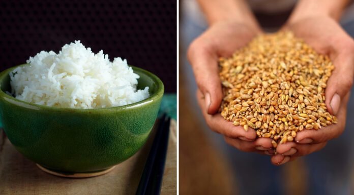 Wheat Vs. Rice – Which is Better? | Nutritional Comparison Between Wheat & Rice Wheat Vs. Rice - Which is Better?