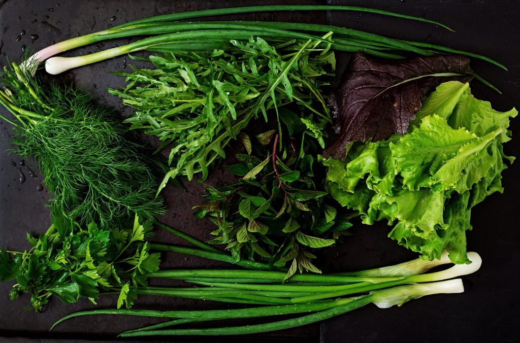 Variety fresh organic herbs lettuce arugula dill mint red lettuce onion rustic style top view