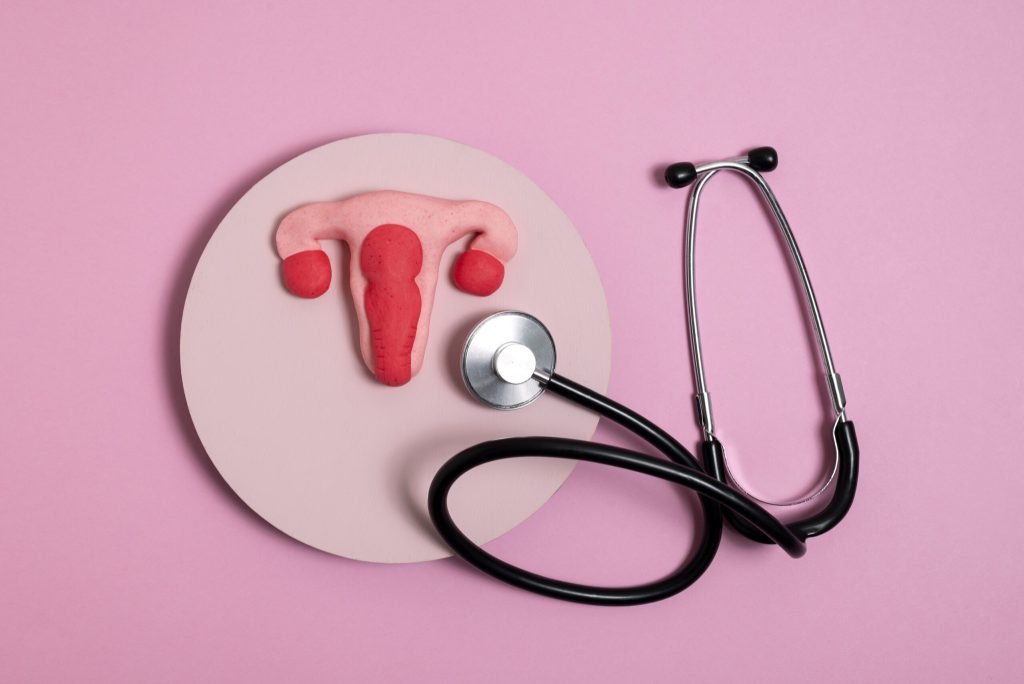 Reproductive system stethoscope flat lay