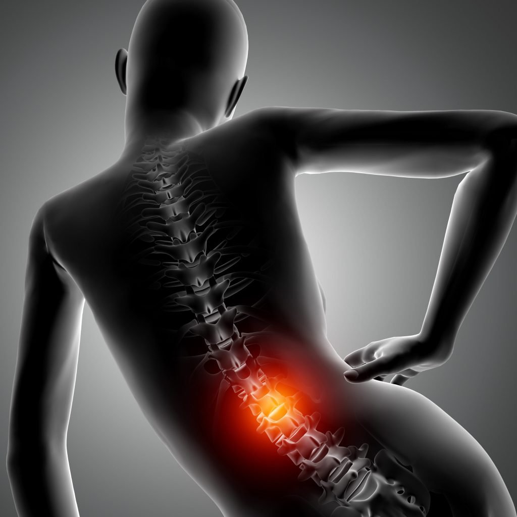 3d female figure with spine highlighted