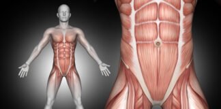 A Comprehensive Guide to Engage Your Core