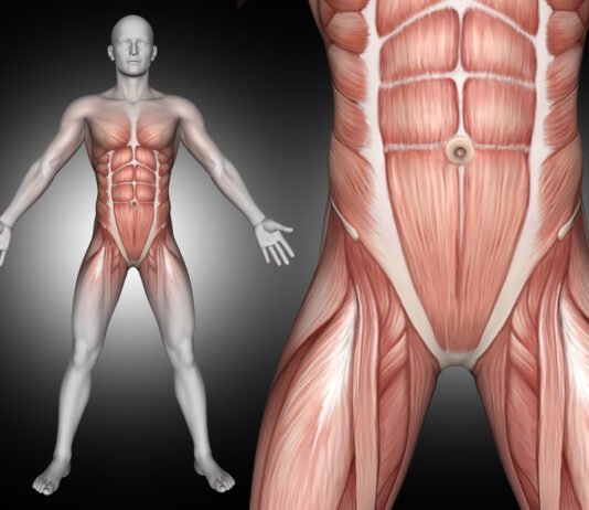 A Comprehensive Guide to Engage Your Core