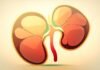 Kidney Failure: Causes, Symptoms and Treatment