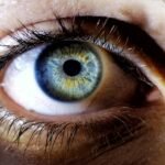 Everything You Need to Know About Eye Parasites