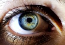 Everything You Need to Know About Eye Parasites