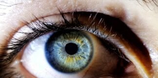 Everything You Need to Know About Eye Parasites