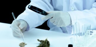 CBD vs. THC: What’s the Difference?