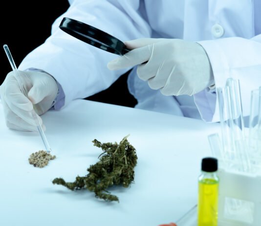 CBD vs. THC: What’s the Difference?