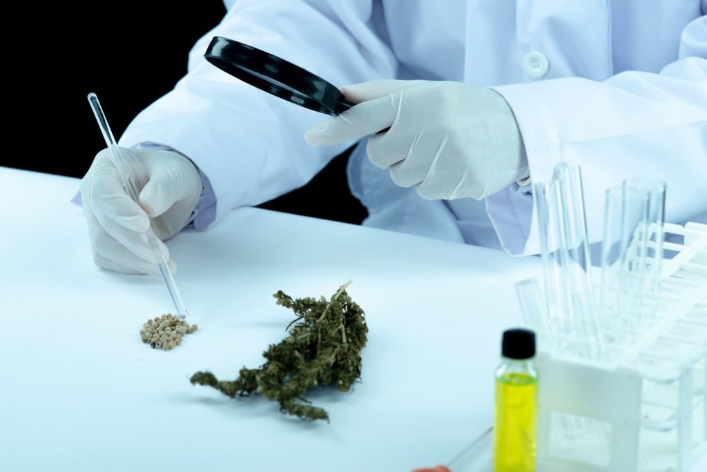 Doctor hand hold offer patient medical marijuana oil