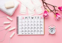 Menstrual Cycle: Overview and Phases