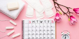 Menstrual Cycle: Overview and Phases