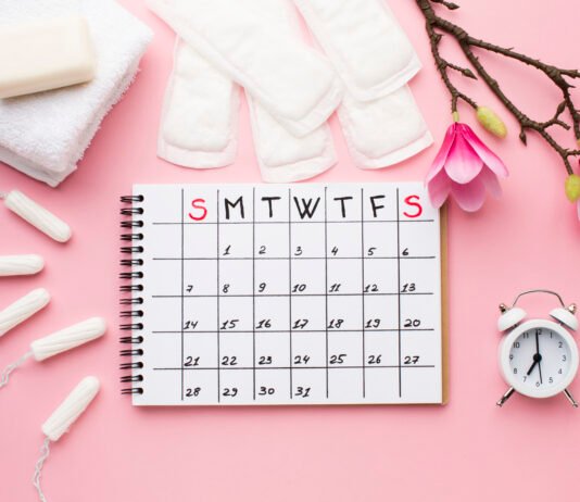 Menstrual Cycle: Overview and Phases