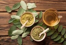 Moringa: Uses, Health Benefits and Side Effects