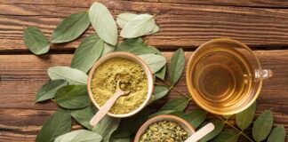 Moringa: Uses, Health Benefits and Side Effects