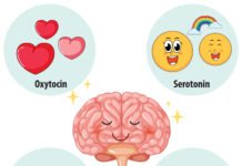 Serotonin: What is it, Function, Levels