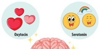 Serotonin: What is it, Function, Levels