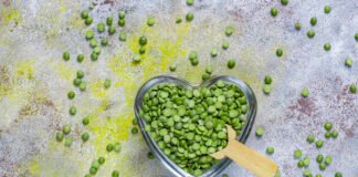 Pea Protein vs. Whey Protein: Which Is Better?