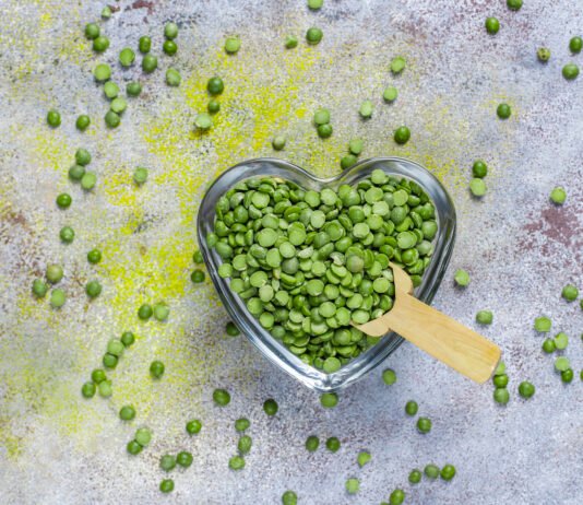 Pea Protein vs. Whey Protein: Which Is Better?