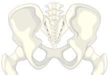 Pelvic Inflammatory Disease (PID)