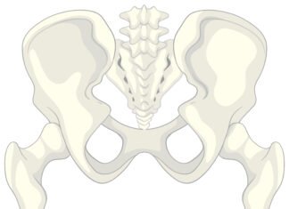 Pelvic Inflammatory Disease (PID)