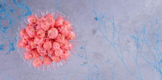 Endometriosis: Causes, Symptoms, and Treatments