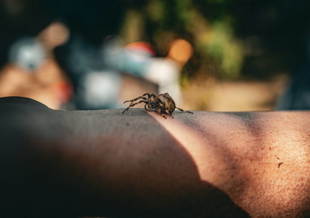 Bug Bites and Stings