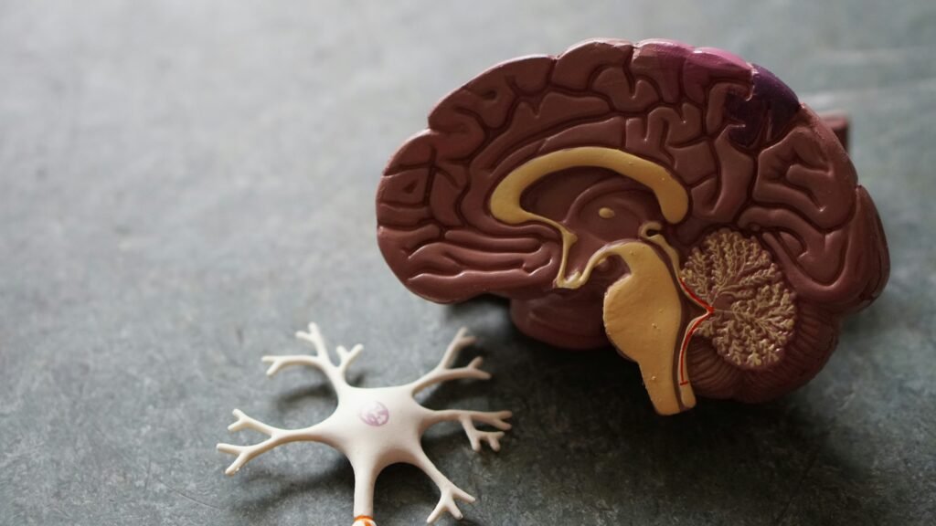 Dementia and Alzheimer's
